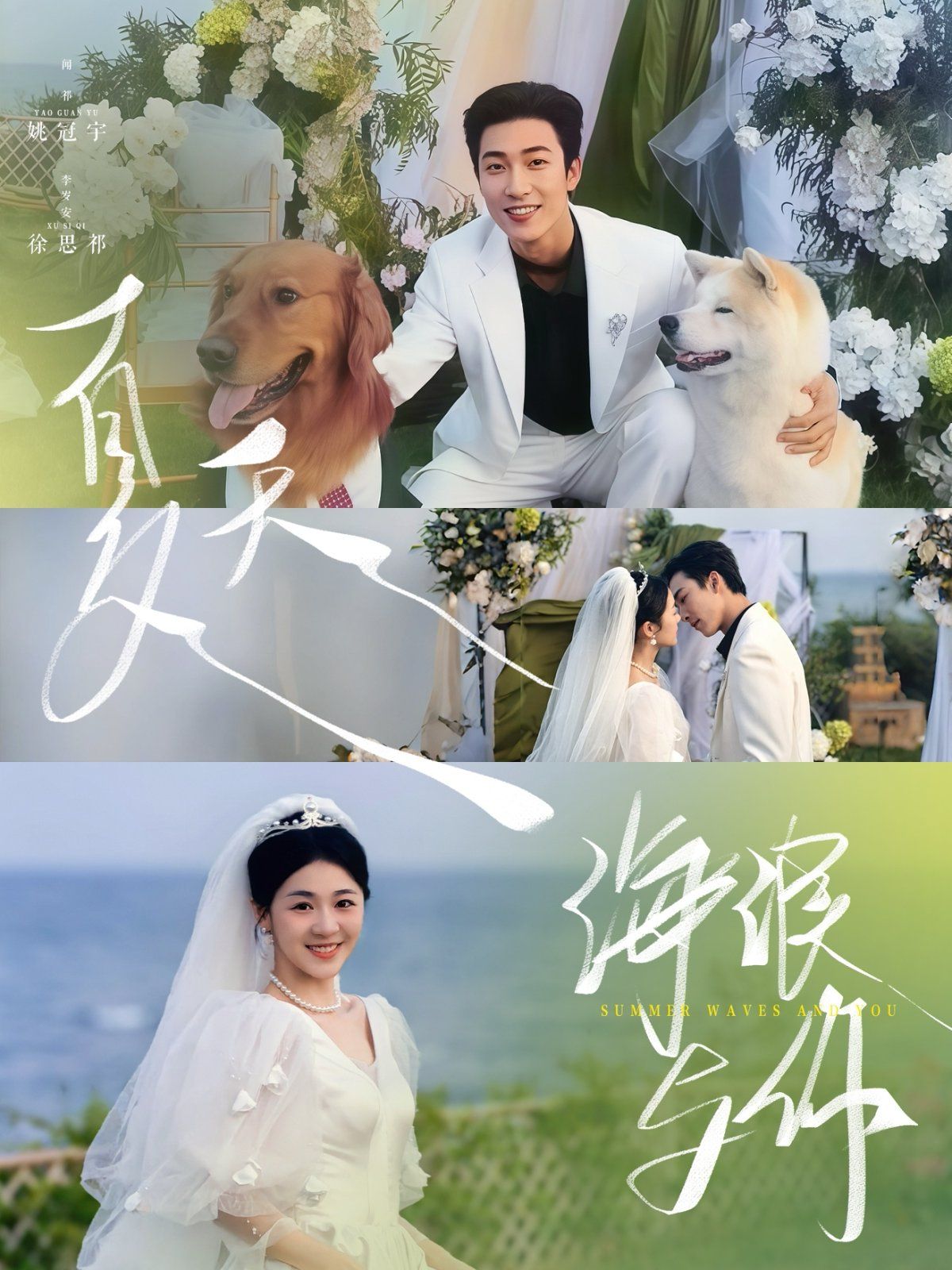 夏天海浪与你