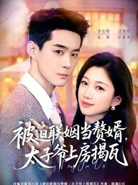 被迫联姻当赘婿，太子爷上房揭瓦封面图