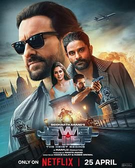 珠宝大盗：神偷出马