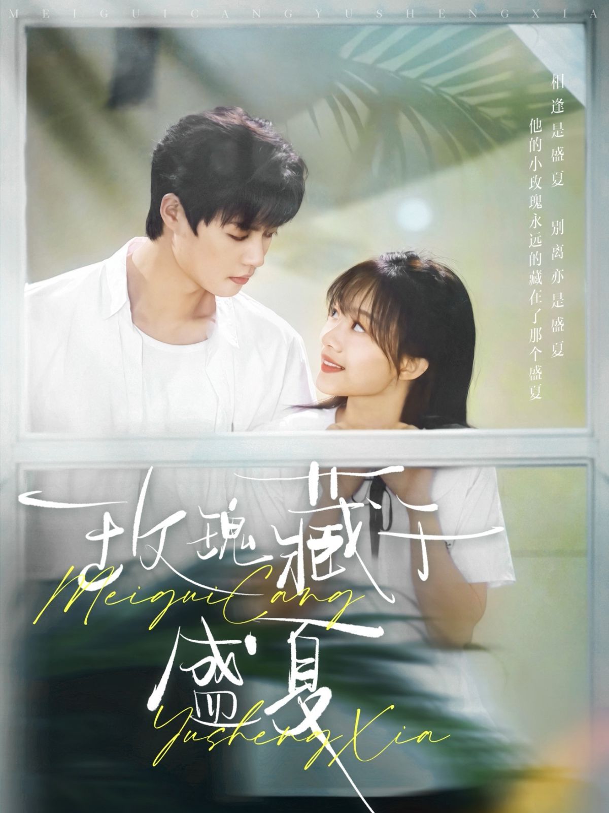 玫瑰藏于盛夏