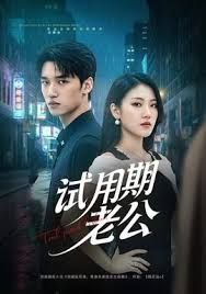 试用期老公封面图