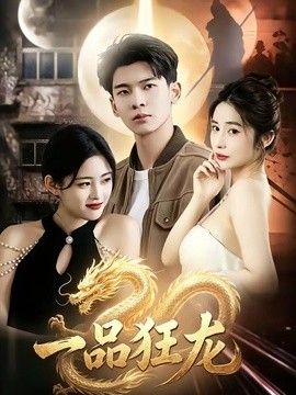 一品狂龙封面图