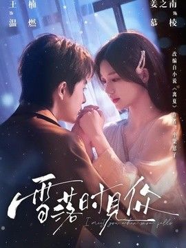 雪落时见你封面图