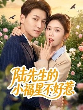 陆先生的小福星不好惹封面图