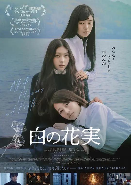 白色花果封面图