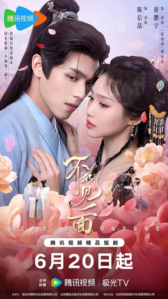 不如见一面封面图